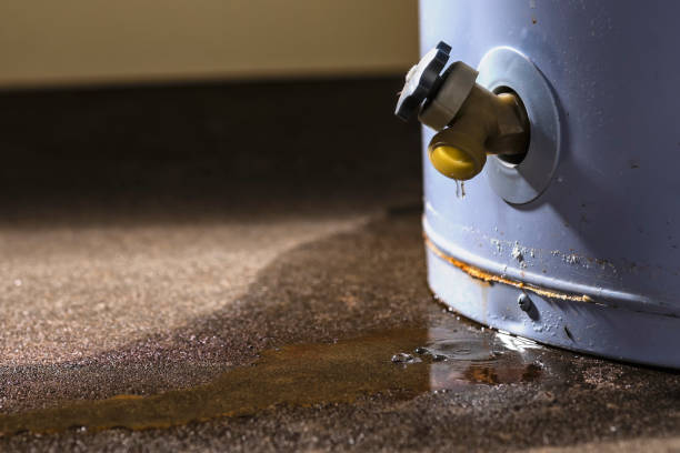  Labelle, FL Water damage restoration Pros