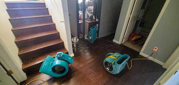 Best Professional water damage repair  in Labelle, FL