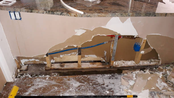 Best Local water damage restoration  in Labelle, FL