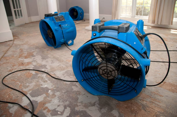Best Flooded house restoration  in Labelle, FL