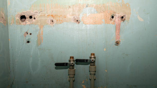 Best Water damage restoration cost  in Labelle, FL