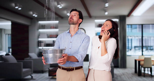 Best Water damage restoration company  in Labelle, FL