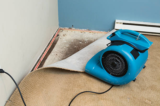 Best Fire Damage Restoration  in Labelle, FL